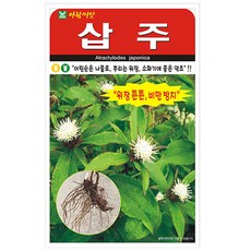 아람 삽주 씨앗 100립, 2개