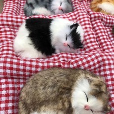 차인테리어 잠자는 고양이 리얼펫 인테리어 소품 활성탄 제습, 흰색고양이