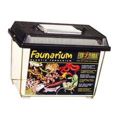 파충류 투명 사각 케이스 중형 1P 곤충 도마뱀 브리딩ssnn06012508+iiwowo