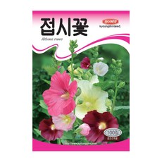 세인화분 접시꽃 100립 - 씨 씨앗 꽃씨, 1개