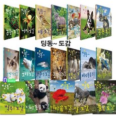 [전집] 아이의 눈높이에 맞춘 딩동 도감 19권 세트/고양이도감.해안동물과물고기도감.고래.말.상어.개도감.공룡.바닷물고기.곤충.동물원.바다동물 풀꽃.펭귄.나라동물 외, 지성사(전집)