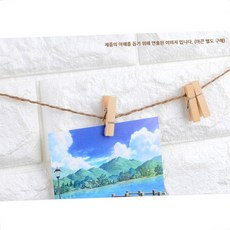 HW마트 어린이집 유치원 사진 미술수업 그림 걸이 교구 나무집게 48개, 2.5cm