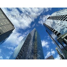 (영문도서) Plastic Photography 2k23: Seattle's Safari Paperback, 3ichael 7ambert, English, 9798869237583