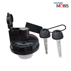 포터2 / 봉고2 / 봉고3 / 마이티 / 마이티2 / E마이티 / 화물차 / 주유뚜껑/ 주유구 캡 / 연료 캡 / 열쇠 있는타입 / 310104FA10 / 순정부품 / 순정개조, 1개, 디젤/경유