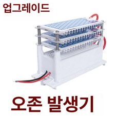 차량용 오존생성기 시거잭 탈취 정화 12V 냄새제거, 스탠다드 모델 110V 10g 플러그 포함, 기본 모델명/품번