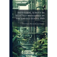 (영문도서)Industrial Survey in Selected Industries in the United States 1919: Preliminary... Paperback, Nabu Press, English, 9781145959828