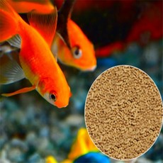 틴틴 골드피쉬금붕어 비단잉어 색상영양사료 100g 금붕어밥