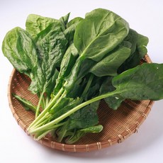 국내산 노지 시금치 달고 맛있는 제철 나물, 1박스, 4kg