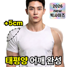 레니움 어깡부스터 어깨 뽕 패드 남성