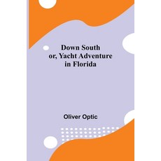 (영문도서) Down South; or Yacht Adventure in Florida Paperback, Alpha Edition, English, 9789355345189