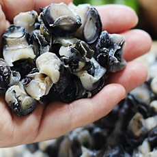 세척 손질된 경남 함양 냉동 우렁이살 300g 3개