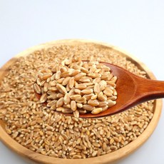 24년산 파로쌀 파로 엠머밀 곡물 효능, 1개, 3kg