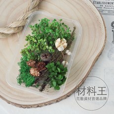 永生花乾燥花材包：台灣現貨速發，超值組合，DIY手工材料，繡球兔尾等豐富選擇, １３號｜綠白色系, 綠白色系
