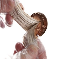 연호버섯농장 참송이버섯 무농약 친환경, 1개, 특상품 1kg