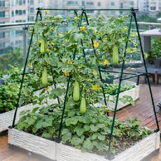HK sell 그루온 삼각형 지지대 넝쿨식물 덩굴 텃밭 베란다 가든용, 11mm, L1.2M x H1.6M, 1세트