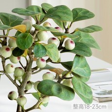 仿真盆栽 綠植 書房客廳 辦公室桌面 小盆景 四季好養, 1個, 小盼菩提（帶果）+基地原土盆