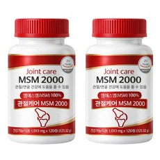 미국산 msm 관절영양제 2000, 2개, 120정
