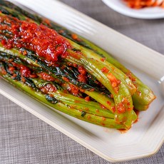 [한가득] 전라도 담양 죽향 갓김치 5kg 100%국내산 HACCP인증, 1개