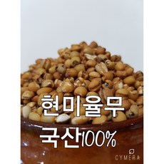 현미율무 황율무 국산현미율무, 1개
