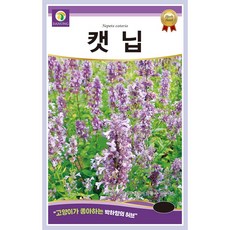 개박하(캣닙) 허브 씨앗 1g, 1개
