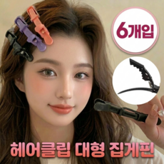 헤어클립 미용실 집게핀 대형, 6개, 블랙