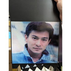 【肥佬嚴選】電影 擋泥板 反光 劉德華 明星 明星擋泥板 復古 華仔 摩托車 土除 陸劇 惡搞 迷因 機車, 1個