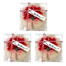 핸드메이드 카네이션 수세미_투명케이스 포장, 3개, 레드