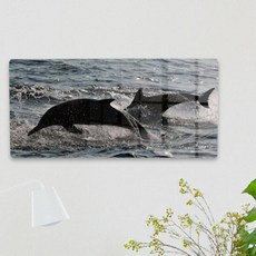 ie730-폼아크릴액자38CmX18Cm_힘찬돌고래