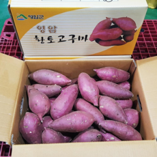 영암명품 프리미엄 꿀고구마, 5kg(특상), 1개