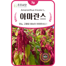 [주주씨앗] 아마란스 씨앗 2g(3000립) / 당뇨 고혈압 효능 아마란서스 씨앗 / 봄 파종 민속채소 씨앗몰, 1개