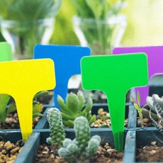 텃밭 이름표 꽂이 플라스틱 팻말 컬러, 랜덤