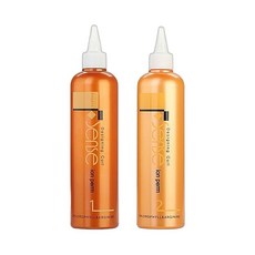 디케이 센스 디자이닝 컬 이온 펌 1제+2제 410ml