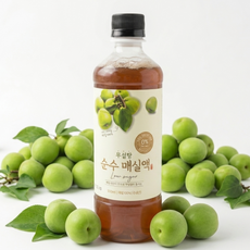 감정식품 완전 무설탕 100% 지리산 매실 착즙액, 2개, 500ml