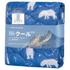 Colorsroom Q-MAX0.42 TEIJIN 깔개 패드 싱글 여름 서늘한 접촉 냉감 고기능 섬유