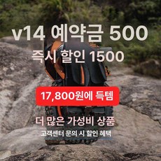 웰라운디드 전동휠 외발휠 투휠보드 외발전동휠, 72V 이상, 1개, V14 예약금