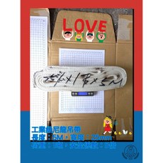 EN1492-1 高拉力 耐磨型 聚酯扁帶 寬度25mm 荷重1T, 1個, 長度：5M (500公分)