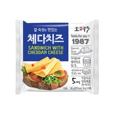 동원 소와나무 체다치즈 100g(20g x 5매) x 10개, 100g