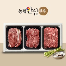 [작심밀도]농협안심한우 1++ 등심200g + 채끝200g + 살치살200g / 냉장, 1
