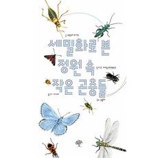 세밀화로 본 정원 속 작은 곤충들, 북스힐, 프랑수아라세르 글/마리옹 반덴부르크 일러스트/이나...