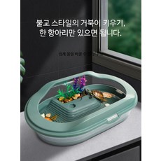 거북이 사육통 플라스틱 수조 저수위 파충류 케이스, 청소용이 탈출방지 중형 그레이, 1개, 1000ml