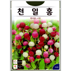 KS종묘 천일홍 100립 일반종 혼합 초화 꽃씨 씨앗 종자, 1개