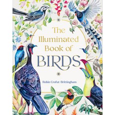 (영문도서)The Illuminated Book of Birds Hardcover, Timber Press (OR), English, 9781643265049