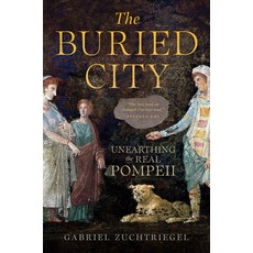 (영문도서)The Buried City: Unearthing the Real Pompeii Paperback, University of Chicago Press, English, 9780226849300 University of Chicago Press, English, 9780226849300