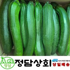 [ 정담상회 ] 국내산 쥬키니호박 주키니호박 못난이호박 3KG 5KG 10KG내외, 1박스