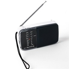 단비가 아날로그 레트로라디오