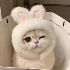 귀여운 강아지 고양이 패션 캐릭터 겨울 바라클라바 모자, 1개, 토끼