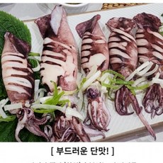 총알 한치 2kg 포장 소분 냉동, 1개, 상세페이지 참조