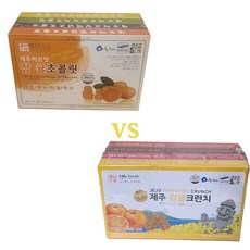 제주 기념품 감귤 초코 간식세트 관광 선물용