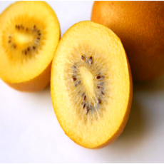 <품담> 신선한 제철 골드키위/국산 골드키위/신선과일, 1박스, 2kg 소과(미니골드)