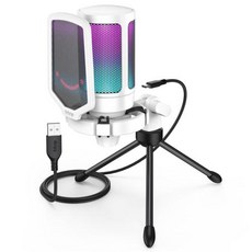 FIFINE USB 게임용 마이크 RGB 콘덴서 PC PS4 PS5 MAC용 팟캐스터 게이머 인플루언서 홈 스튜디오용, CHINA, 3)하얀색